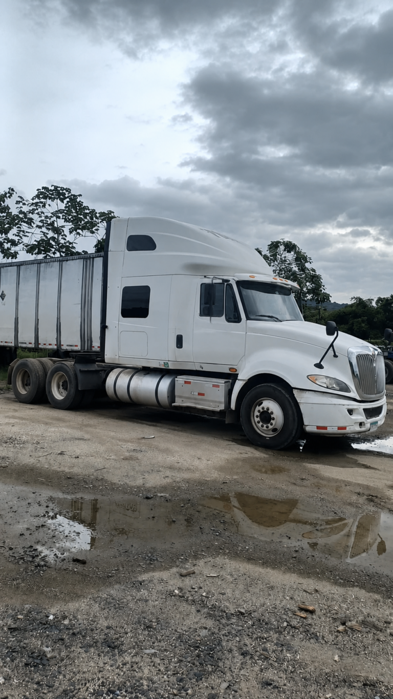 Internacional prostar 2018